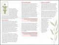 Shiatsu for Health - Brochure 10Pk