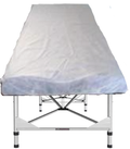 Fitted Disposable  Sheets - 10 Pack