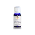 Lemongrass (Cochin) Essential Oil - 12 ml